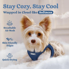 Rabbitgoo step-in action demonstrates quick-dry easy-on design for busy owners.