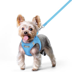 Rabbitgoo dog harness step-in blue XS for quick, comfortable small-dog walks.