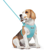 rabbitgoo dog harness step-in mint blue front view highlighting breathable mesh for cool, comfortable walks