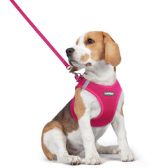 Rabbitgoo dog harness step-in rose red on puppy for easy daily walks