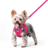 rabbitgoo dog harness xs step-in design for quick, comfortable on-off walks.
