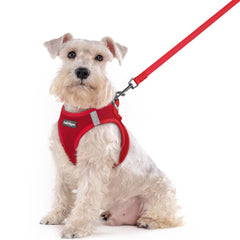 Rabbitgoo dog harness XXL red front view showing easy step-in design for quick wear.