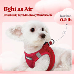 Rabbitgoo dog harness XXL red side view highlighting safety and visibility.