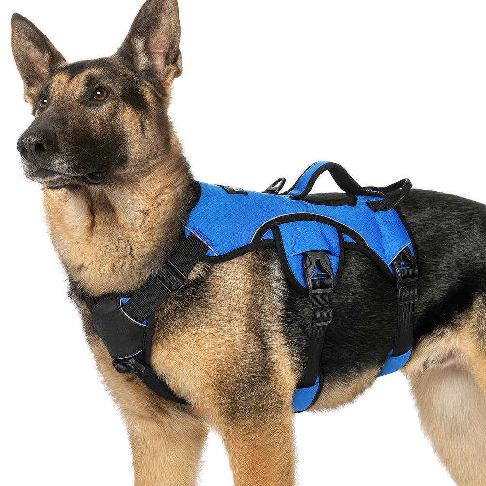 rabbitgoo escape-proof dog harness blue front view supports secure daily walks
