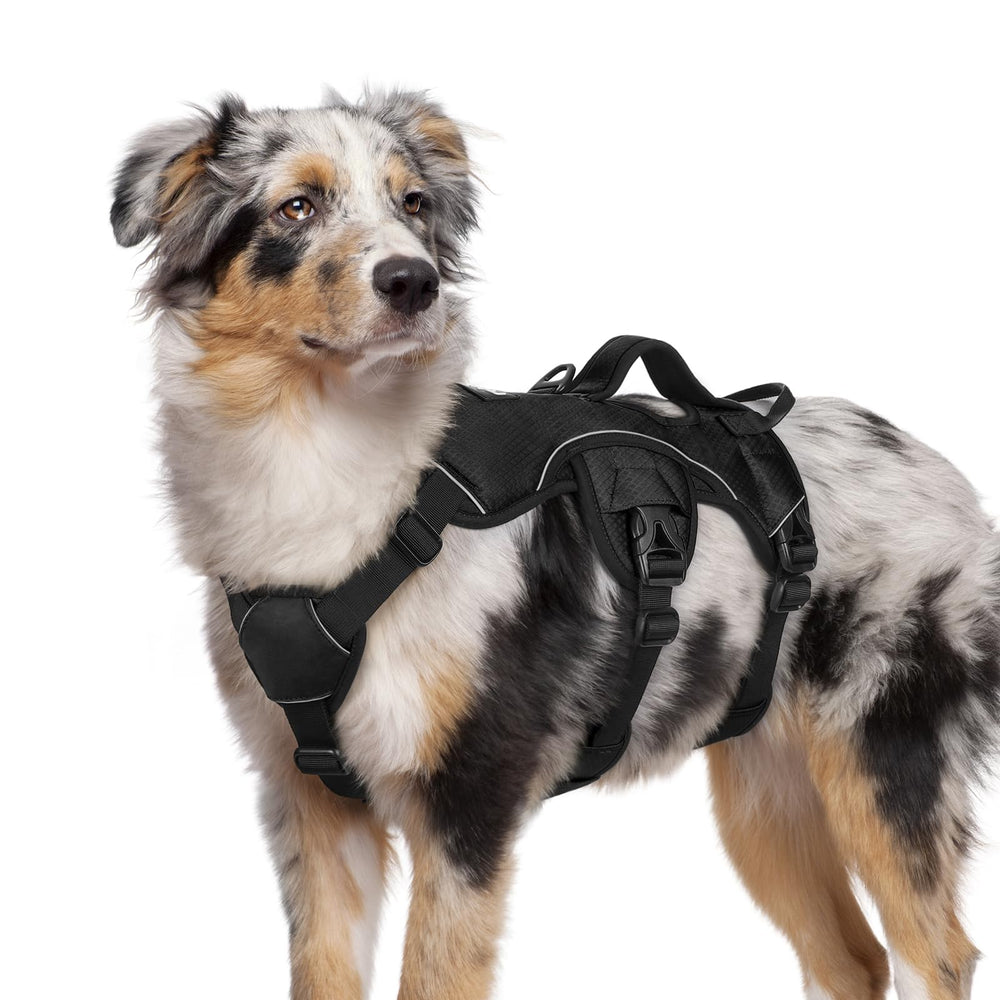 rabbitgoo Escape Proof Harness front view showing secure fit for large dogs