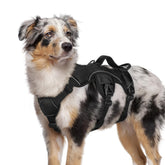 rabbitgoo Escape Proof Harness front view showing secure fit for large dogs