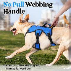 rabbitgoo five-point adjustable straps harness blue illustrates secure fit and full mobility