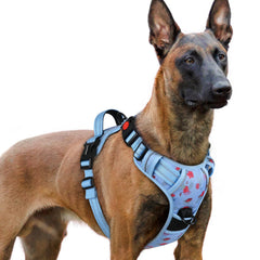 rabbitgoo floral blue XL dog harness side view for daily comfort
