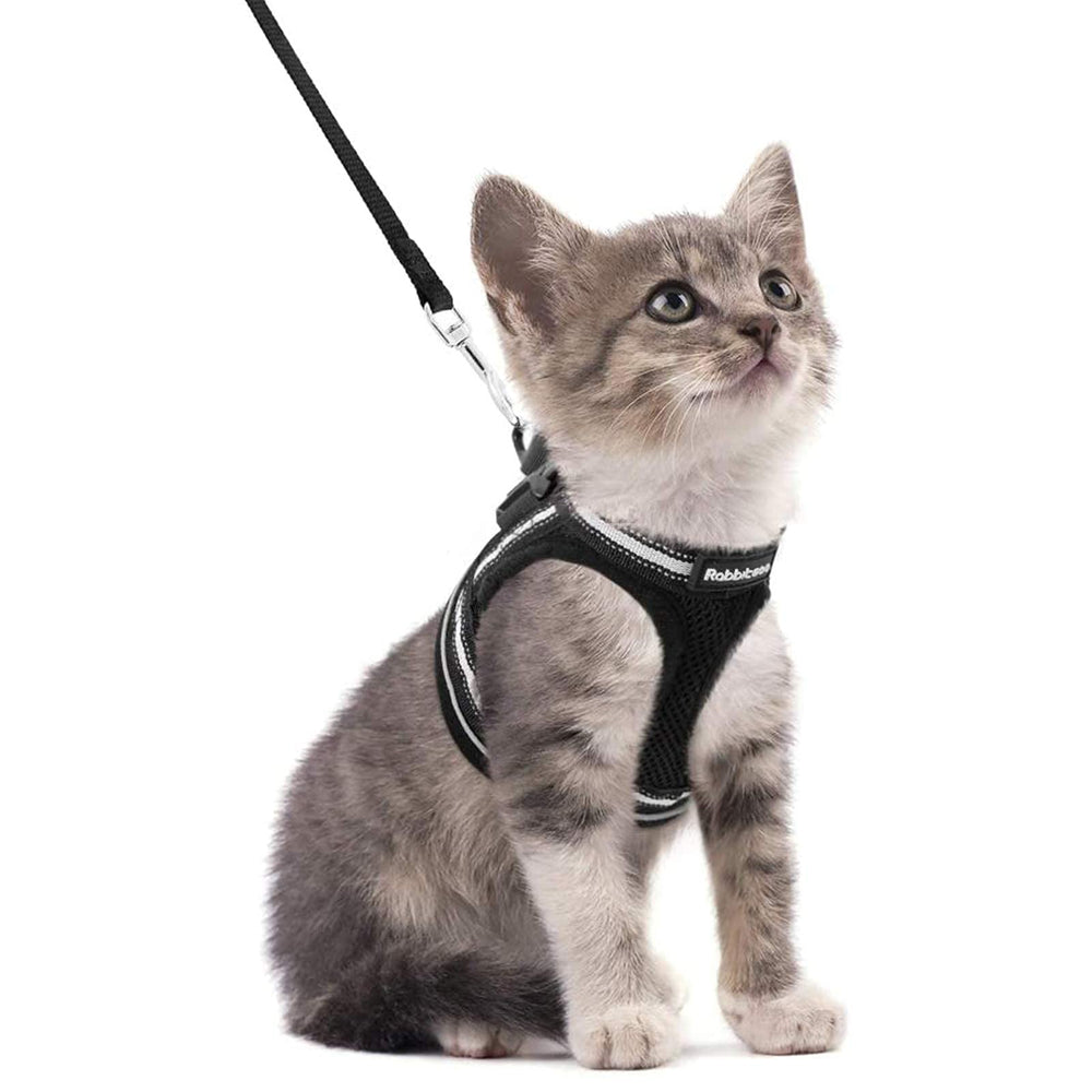 Arnés Rabbitgoo para gatos con ajuste ergonómico para uso diario cómodo