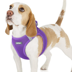 Arnés Rabbitgoo con malla de aire suave para perros pequeños.