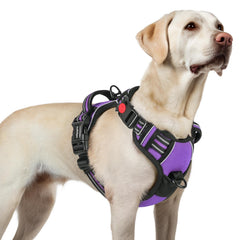 rabbitgoo large dog harness with 3 buckles for quick, secure on/off during walks