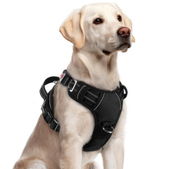 Rabbitgoo large dog harness no-pull design with 3 buckles for quick on and off
