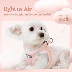 Rabbitgoo reflective pink harness improves visibility for safe night walks