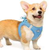 Rabbitgoo small dog harness blue step-in mesh for easy wear and comfort.