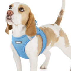 Rabbitgoo small dog harness blue mesh in use for comfortable everyday walks