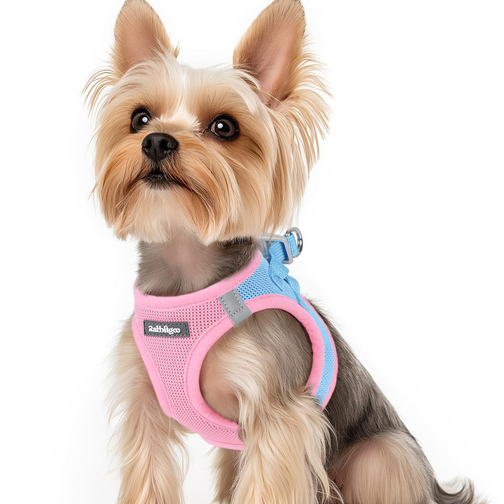 Rabbitgoo small dog harness blue XS front view for comfortable daily walks