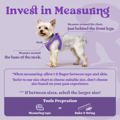 Rabbitgoo small dog harness breathable air mesh keeps dogs cool on warm outdoor strolls