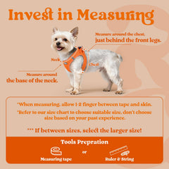 Rabbitgoo breathable air mesh fabric keeps dogs cool on walks
