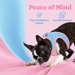 Rabbitgoo small dog harness buckle and D-ring close-up for secure leash attachment.