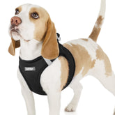 rabbitgoo small dog harness front view in soft mesh for comfortable daily walks