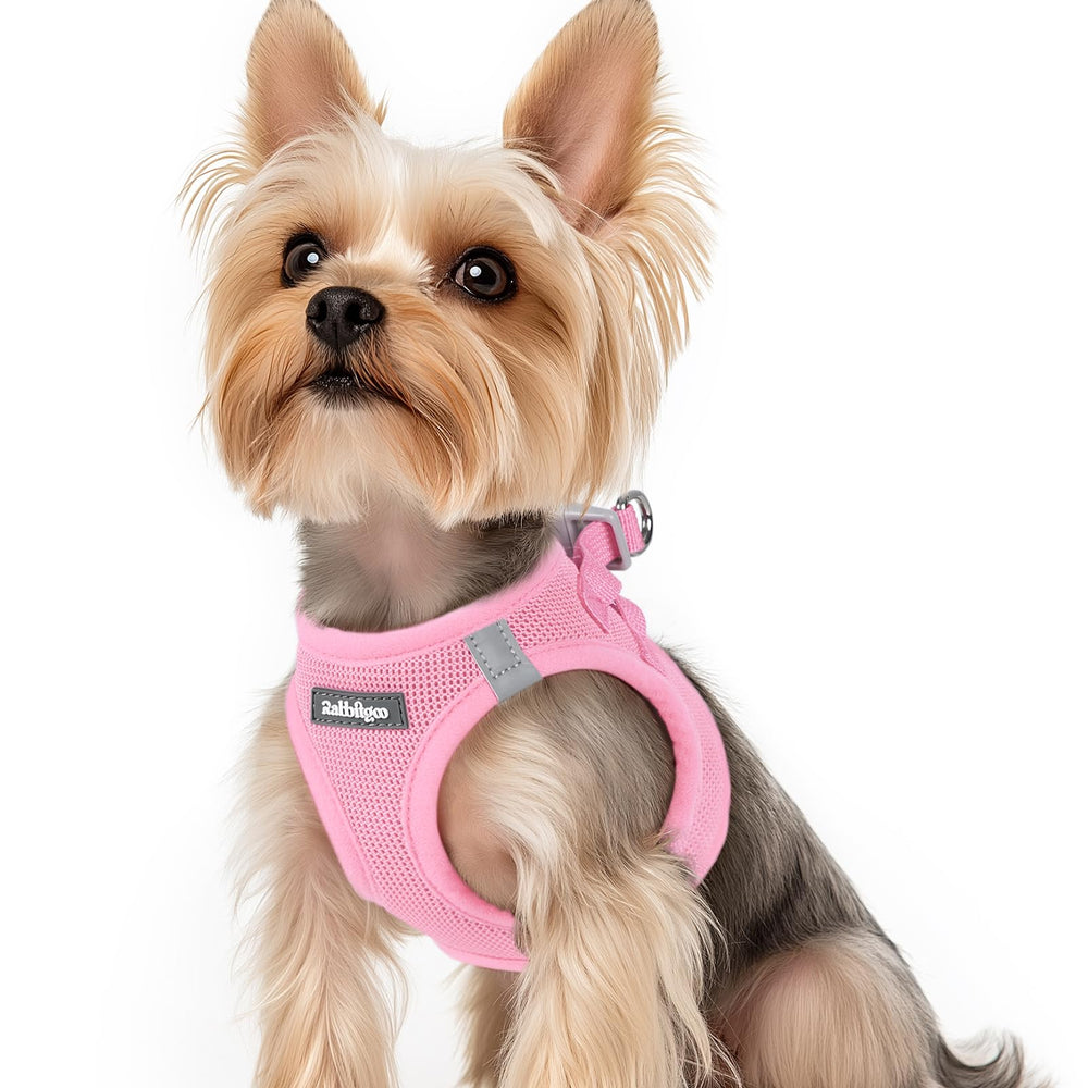 Rabbitgoo small dog harness light pink XS step-in design for quick, secure wearing.