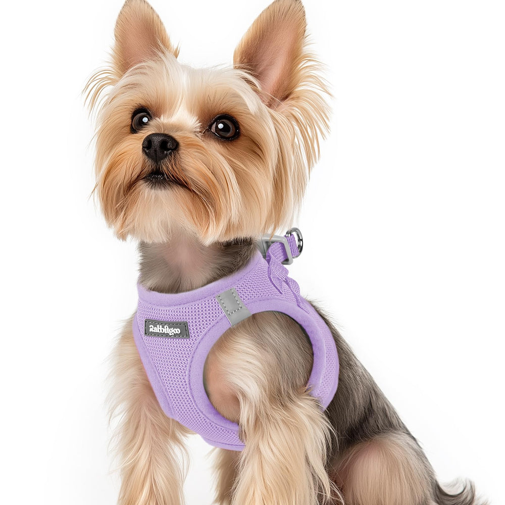 Rabbitgoo small dog harness light purple XS step-in design for quick walks