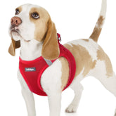 Rabbitgoo small dog harness M red with step-in design for quick, easy wearing.