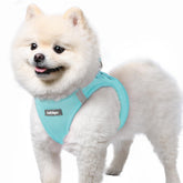 Rabbitgoo small dog harness mint blue step-in for easy entry and calmer mornings