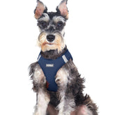 Rabbitgoo small dog harness navy mesh breathability for warm walks