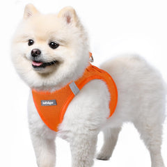 Rabbitgoo small dog harness in orange, front view, secure fit for daily walks.