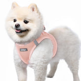 Rabbitgoo small dog harness pink S step-in for easy entry during walks