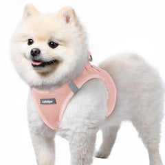 Rabbitgoo small dog harness pink S step-in for easy entry during walks