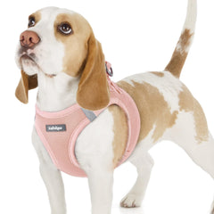 Rabbitgoo pink step-in harness ready for quick daily walks