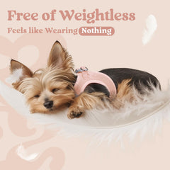 rabbitgoo small dog harness pink XL reflective bands for day and night visibility