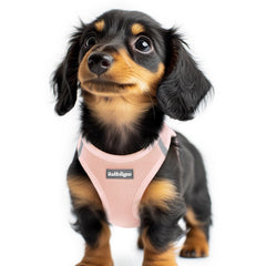 rabbitgoo small dog harness pink XXS packaging for easy everyday wear