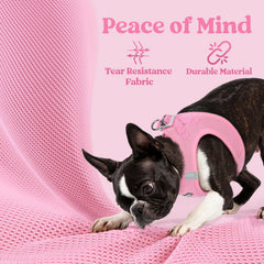 Rabbitgoo small dog harness reflective bands ensures visibility on evening walks.