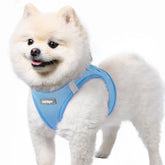 Rabbitgoo small-dog-harness S blue front view highlights a comfortable daily-walk fit.