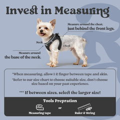 rabbitgoo small dog harness clip and safety buckle demonstrates quick setup for wiggly pups