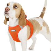 Rabbitgoo small dog harness soft mesh breathable for everyday comfort