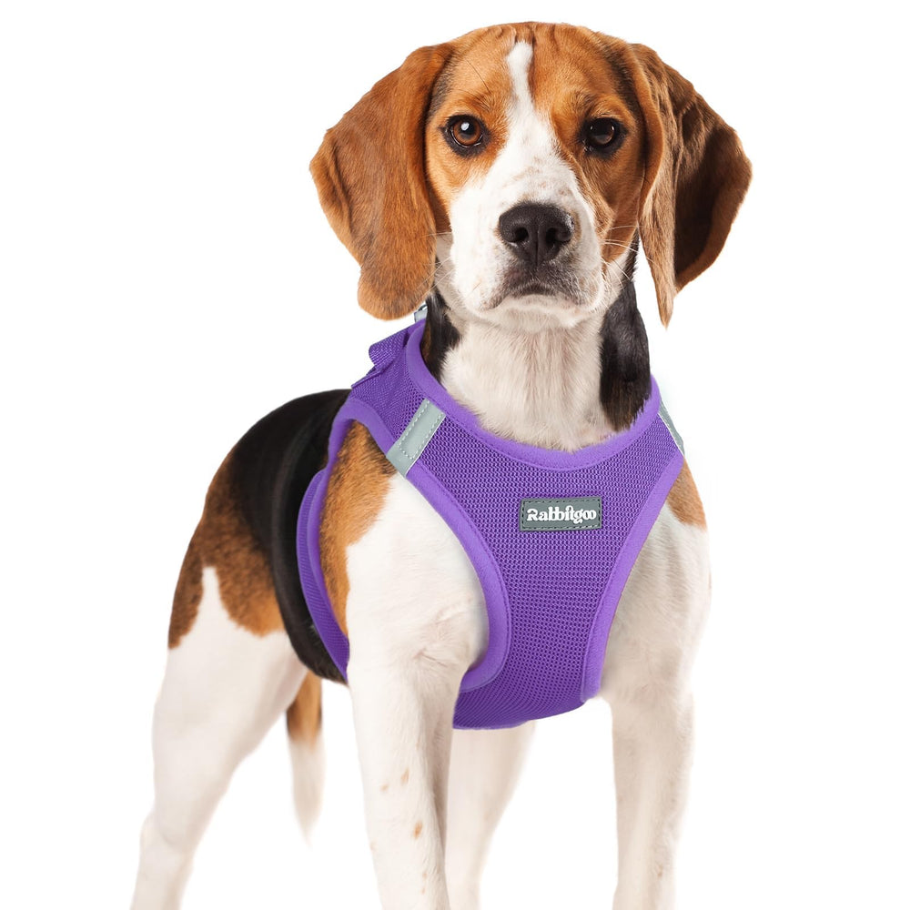 Rabbitgoo small dog harness soft mesh close-up for breathable comfort.