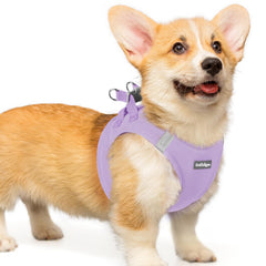 Rabbitgoo small dog harness closeup of soft mesh for breathable comfort.