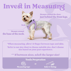 Rabbitgoo small dog harness soft mesh keeps your pup cool on walks.