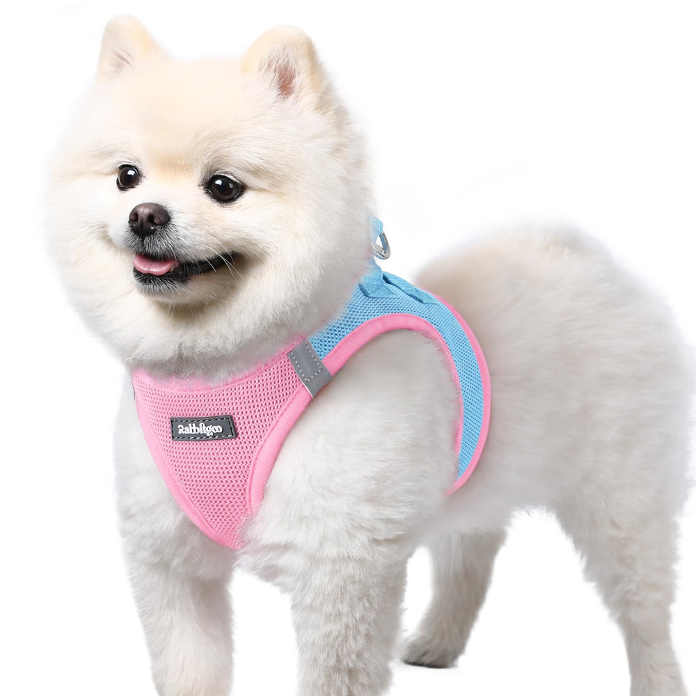 rabbitgoo small dog harness step-in blue for quick, secure on-the-go walks.