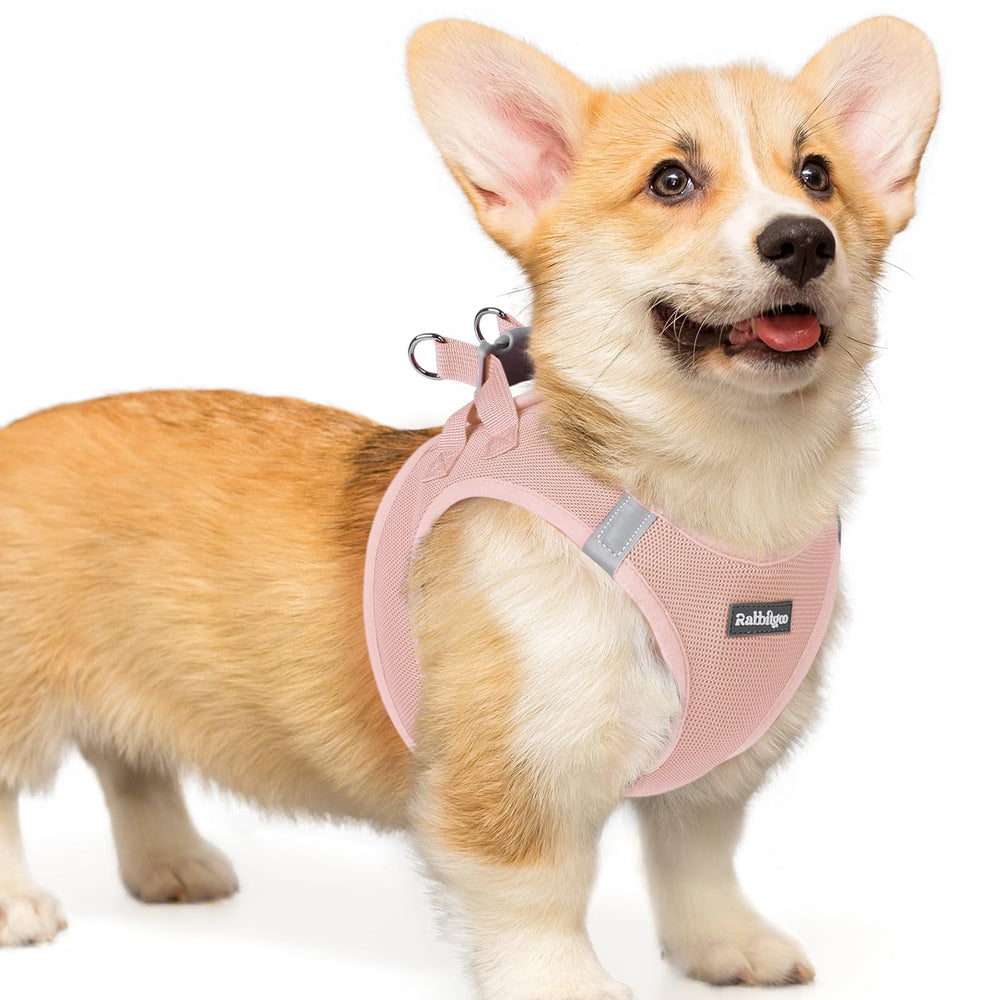 Rabbitgoo small dog harness with step-in design for easy wearing.