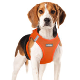 Rabbitgoo small dog harness step-in design for quick on-the-go wear.