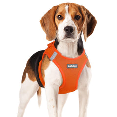 Rabbitgoo small dog harness step-in design for quick on-the-go wear.