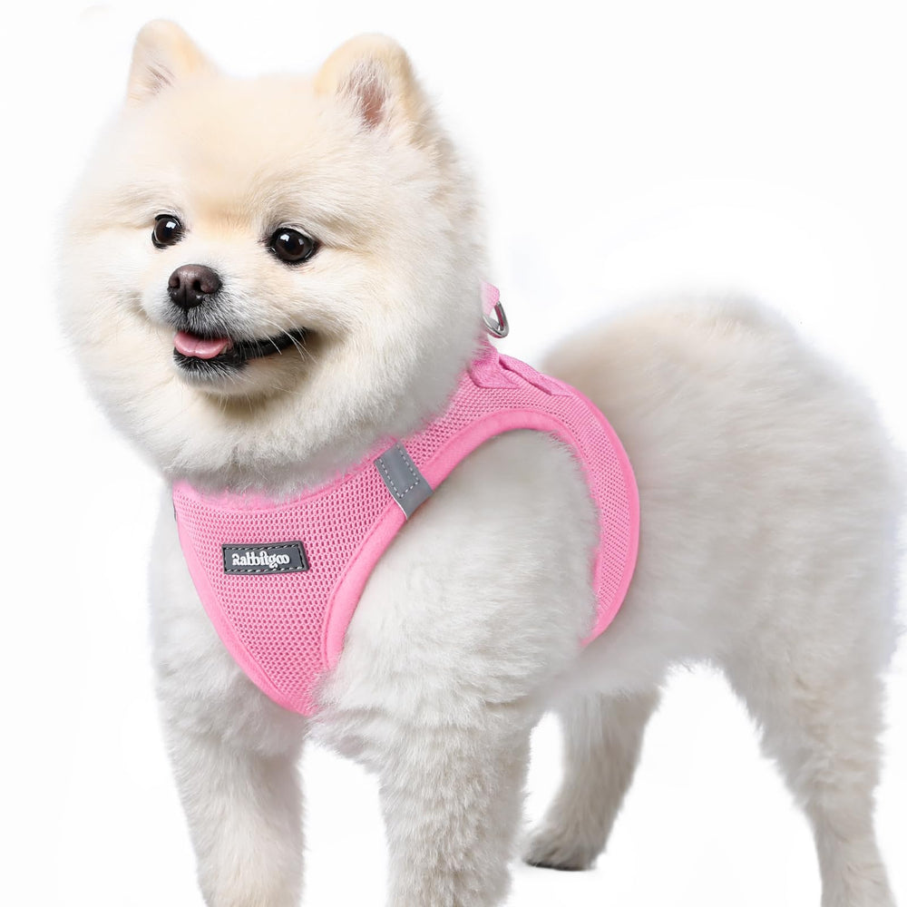 Rabbitgoo small dog harness front-view with step-in design for quick, secure outings.