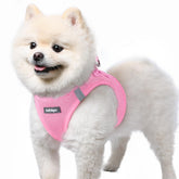 Rabbitgoo small dog harness front-view with step-in design for quick, secure outings.