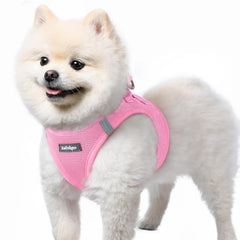 Rabbitgoo small dog harness front-view with step-in design for quick, secure outings.
