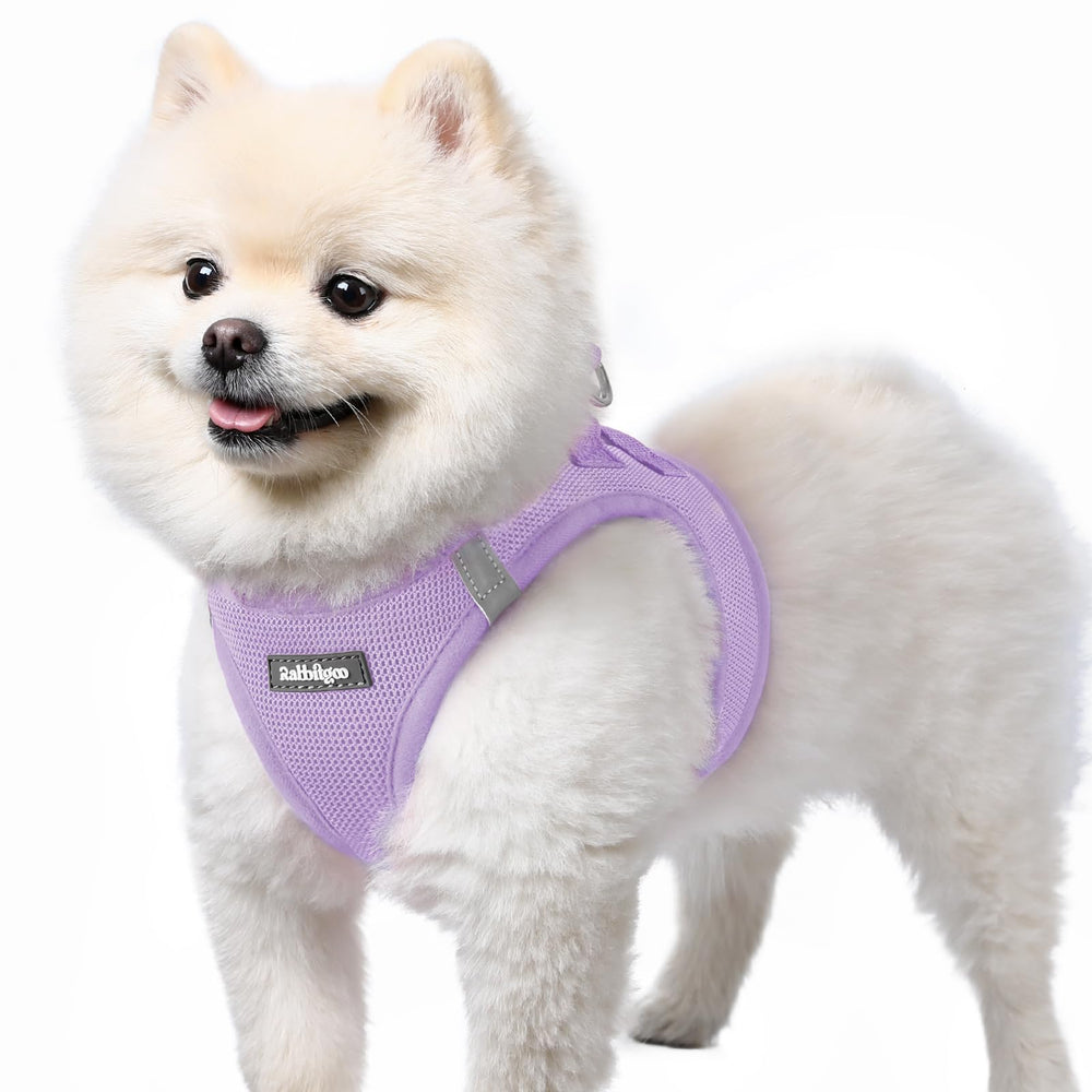Rabbitgoo small dog harness step-in mesh design for quick, fuss-free on-boarding